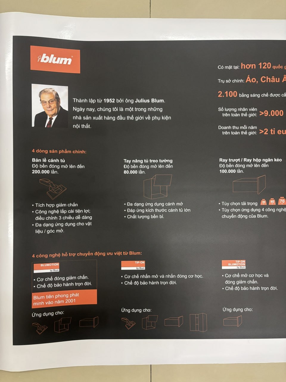 Thành phẩm tranh in UV decal 3M — Blum